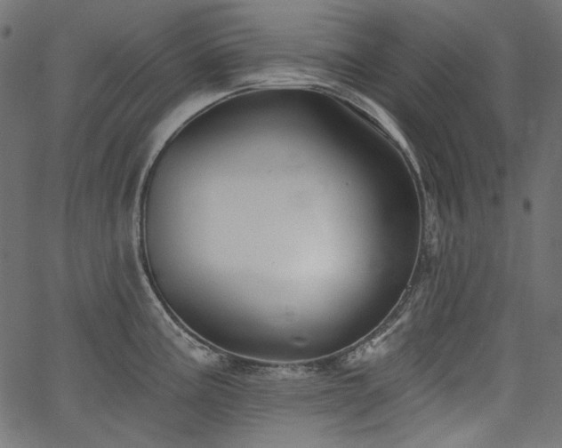 X0000067371195200603311137