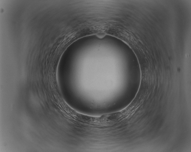X0000067371201200603311136