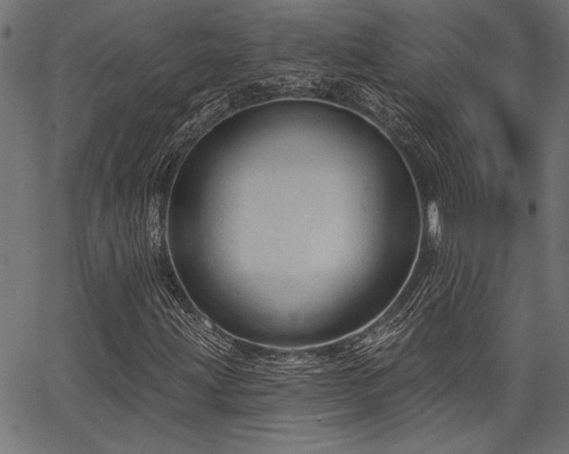 X0000067371203200603311137