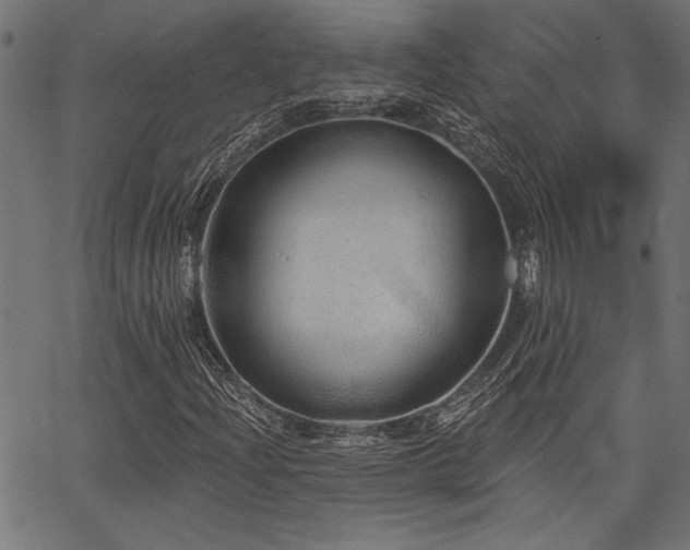 X0000067371204200603311137