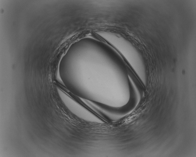 X0000067371206200603311137