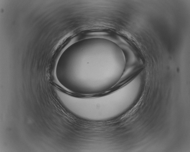 X0000067371210200603311137