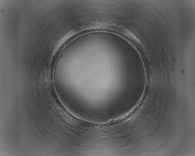 X0000067371216200603311137