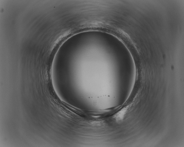 X0000067371218200603311137