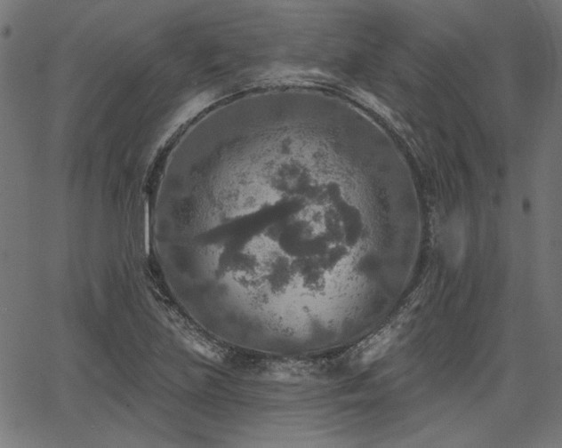 X0000067371219200603311137