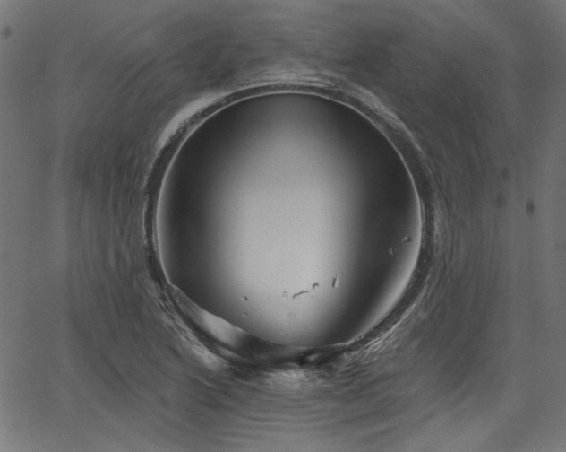 X0000067371222200603311137