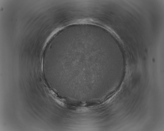 X0000067371224200603311137