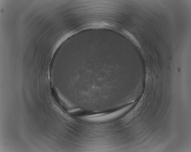 X0000067371226200603311137