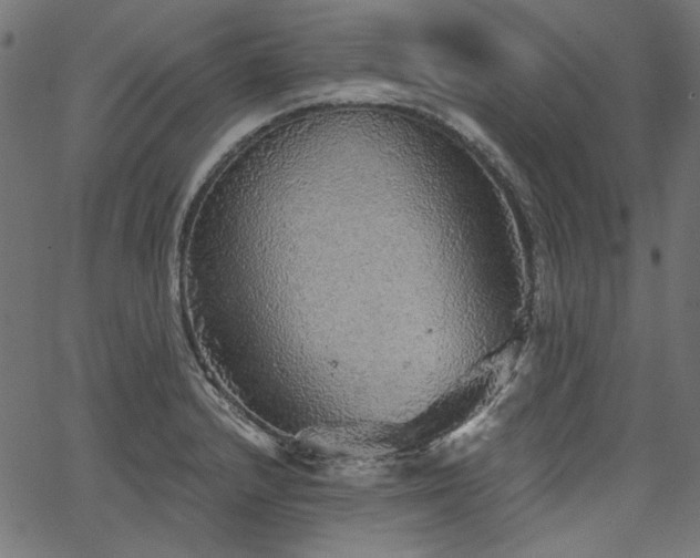 X0000067371232200603311137