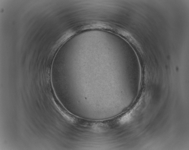 X0000067371233200603311137