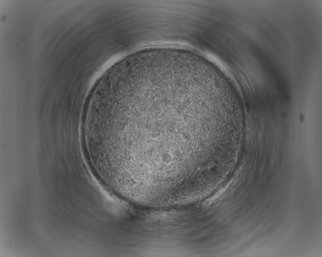 X0000067371237200603311137