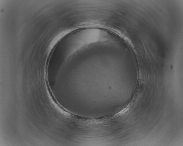 X0000067371239200603311137