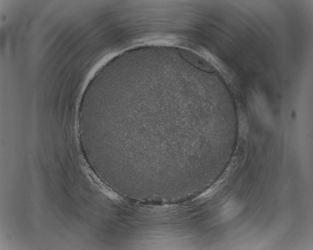 X0000067371240200603311137