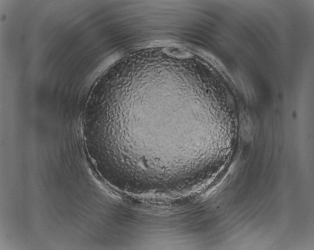 X0000067371241200603311137