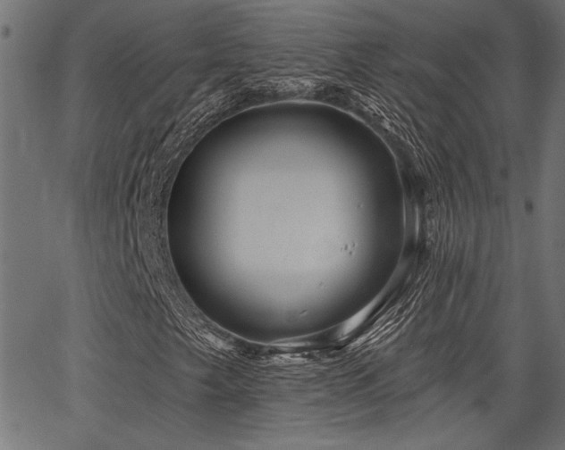 X0000067371249200603311136