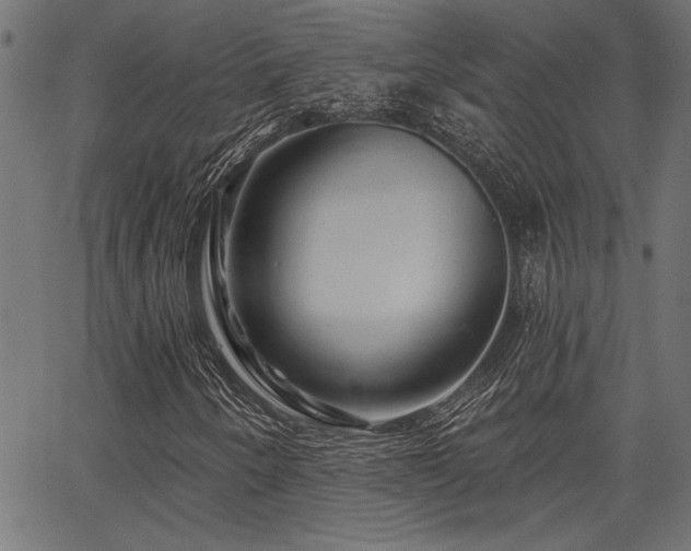 X0000067371250200603311136