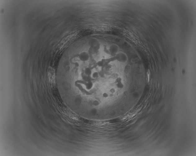 X0000067371251200603311136