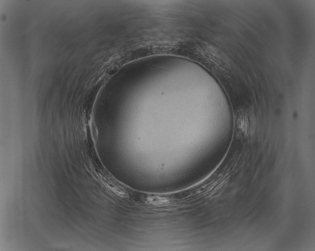 X0000067371252200603311136