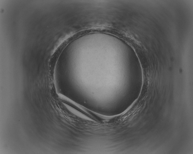 X0000067371256200603311136