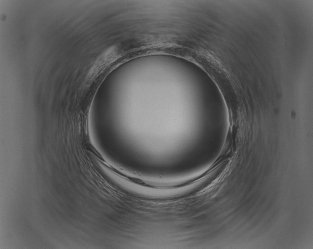 X0000067371257200603311136