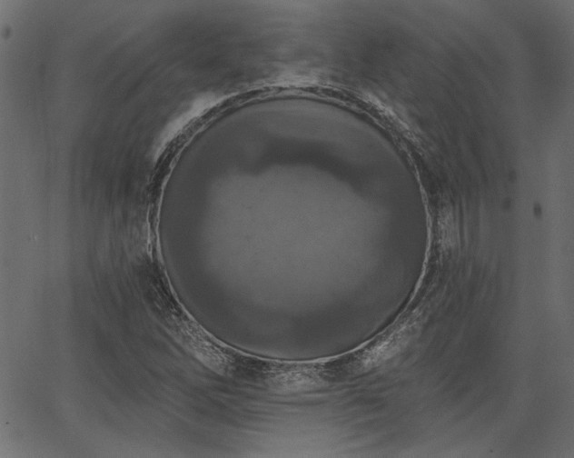 X0000067371262200603311136