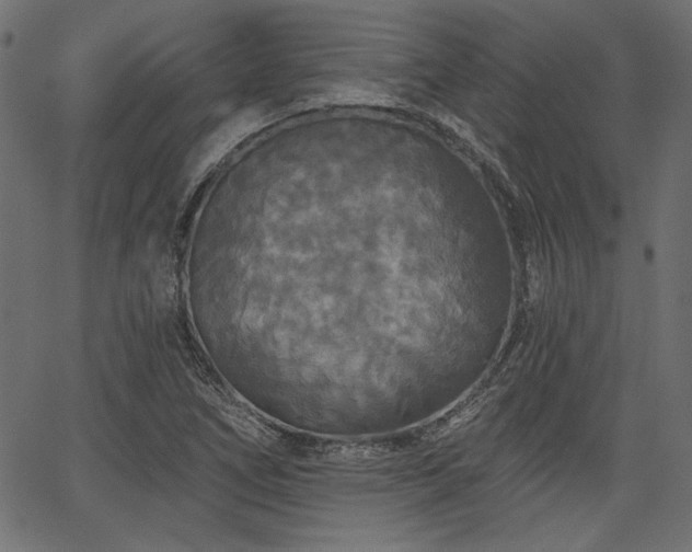 X0000067371266200603311136