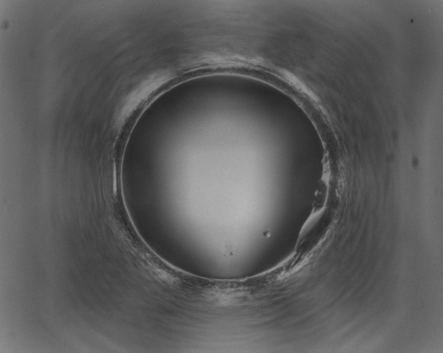 X0000067371269200603311136