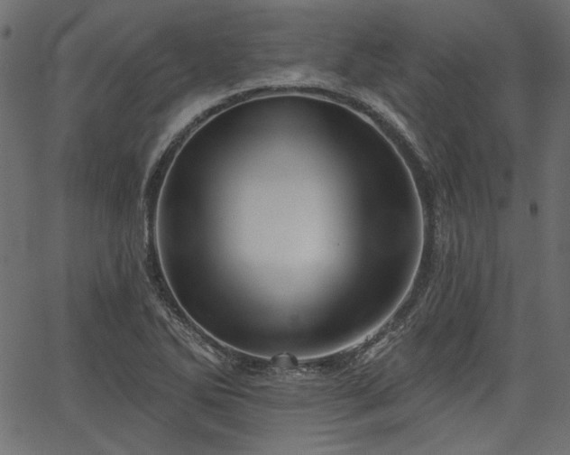 X0000067371270200603311136