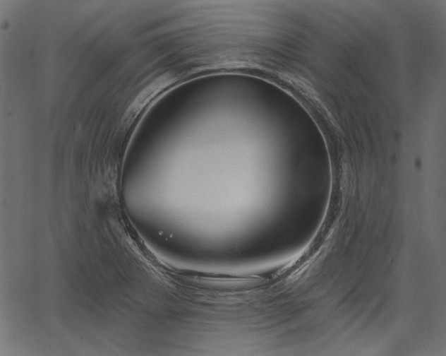 X0000067371273200603311136