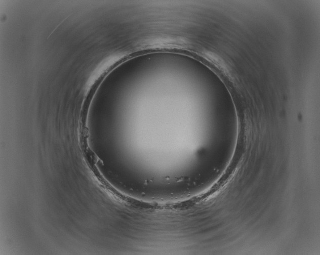 X0000067371277200603311136