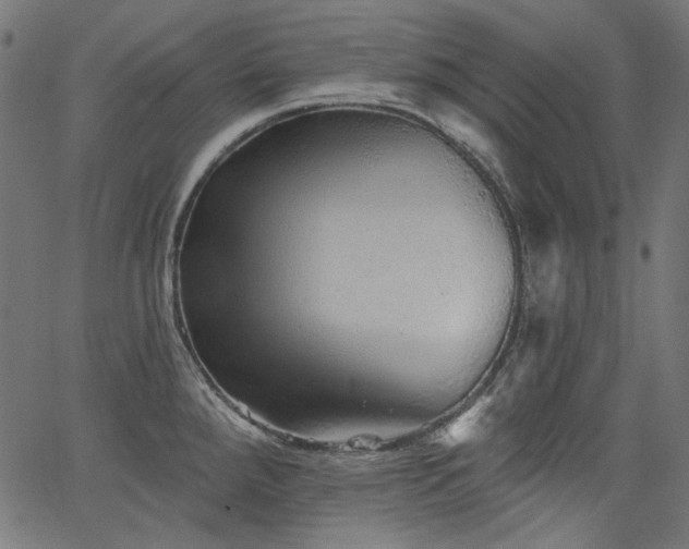 X0000067371288200603311136