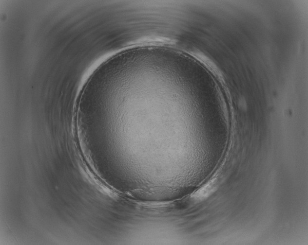 X0000067371296200603311136