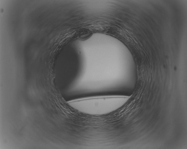 X0000067371297200603311135