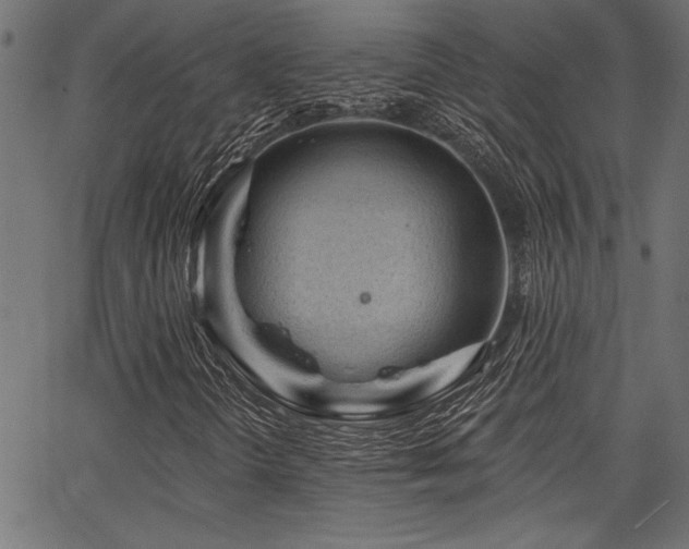 X0000067371298200603311135