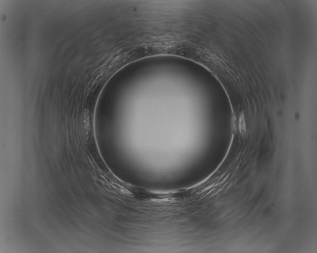 X0000067371299200603311135