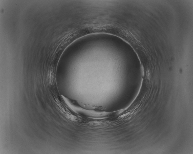 X0000067371300200603311135