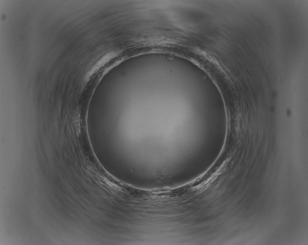 X0000067371306200603311135
