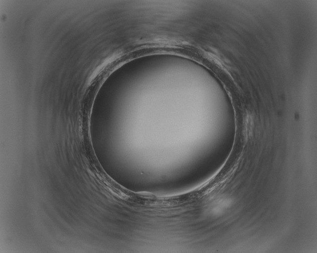 X0000067371307200603311135