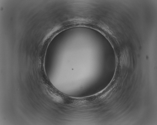 X0000067371309200603311135