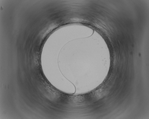 X0000067371314200603311135