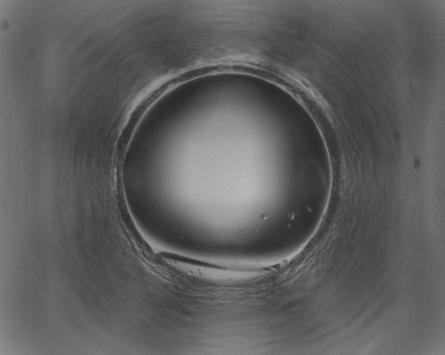 X0000067371316200603311135