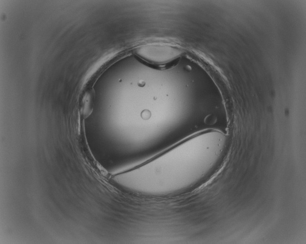 X0000067371317200603311135