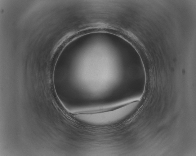 X0000067371318200603311135