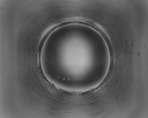 X0000067371320200603311135