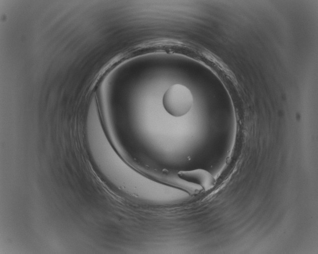 X0000067371321200603311135