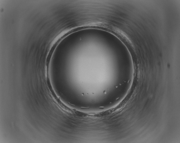 X0000067371324200603311135