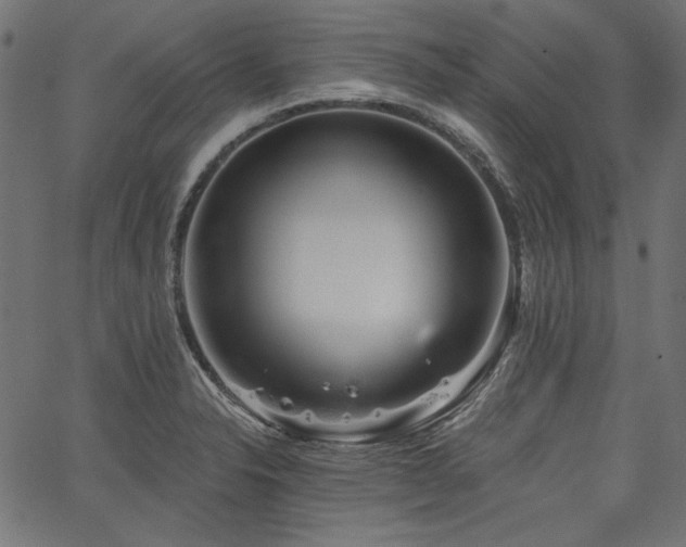 X0000067371326200603311135