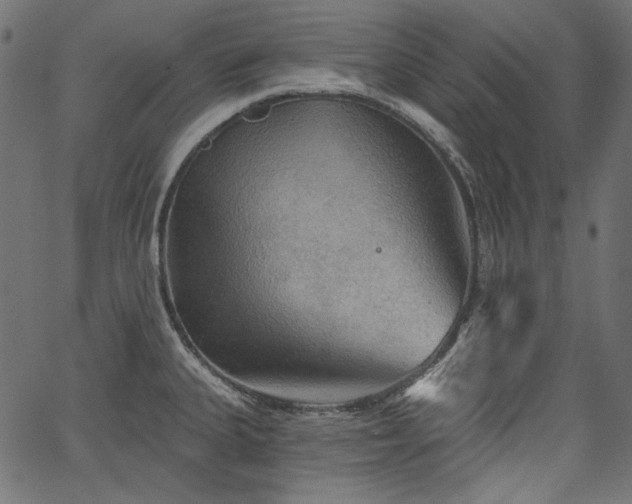X0000067371335200603311136