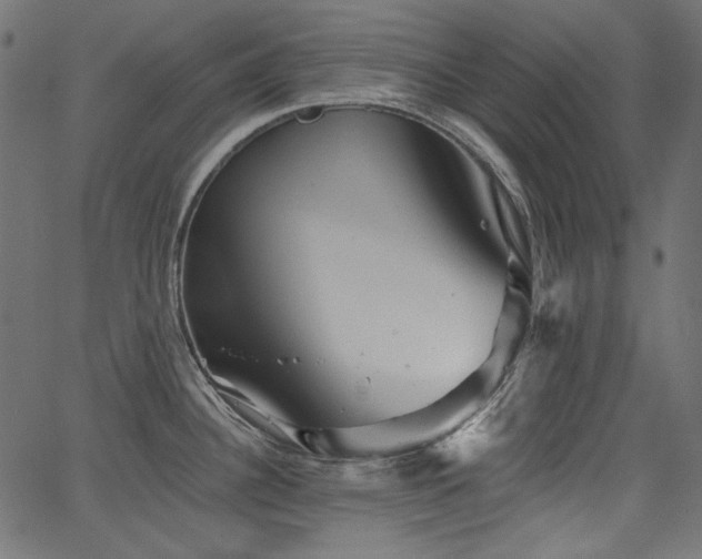X0000067371340200603311136