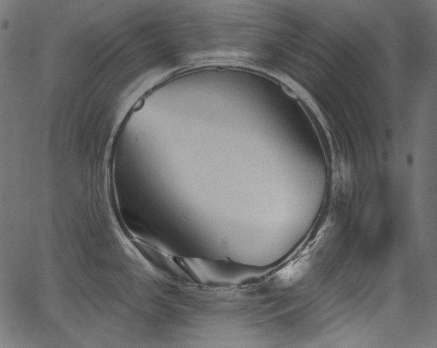 X0000067371341200603311136